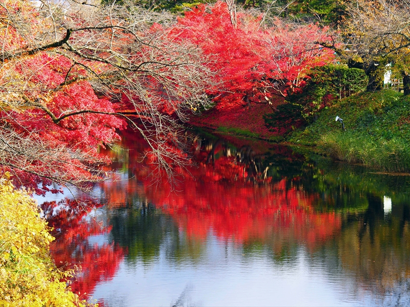 1055_弘前公園_青森
