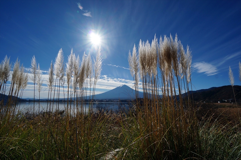 1011_河口湖_山梨