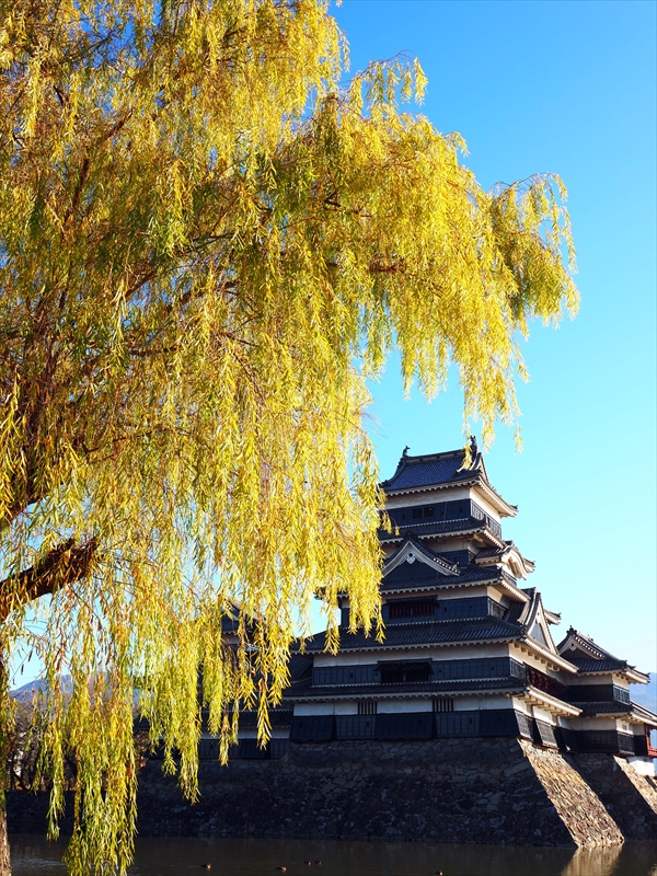 1001_松本城_長野