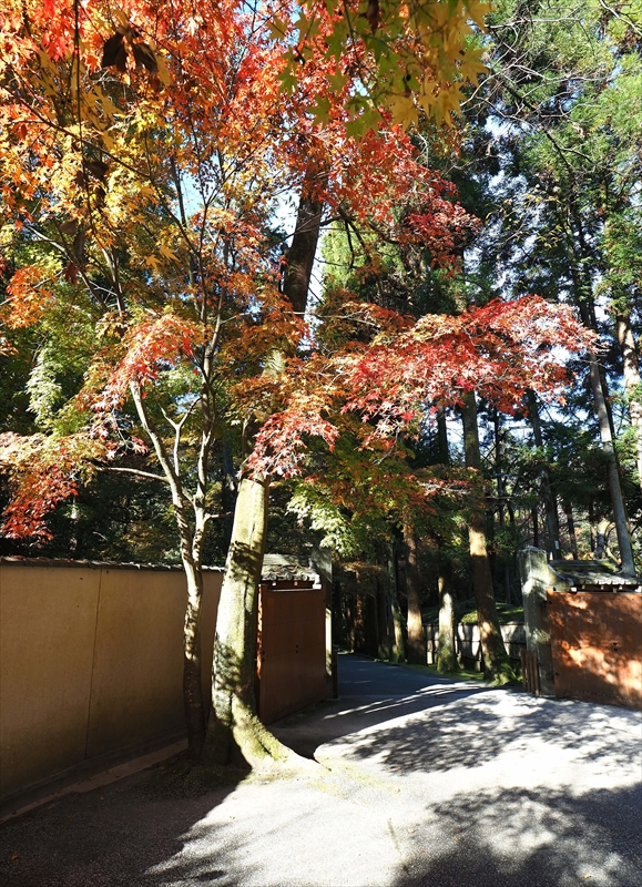 1015_洛東 今熊野観音寺_京都