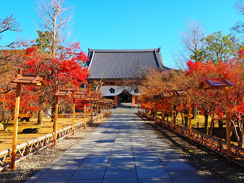 1008_洛中 智積院_京都