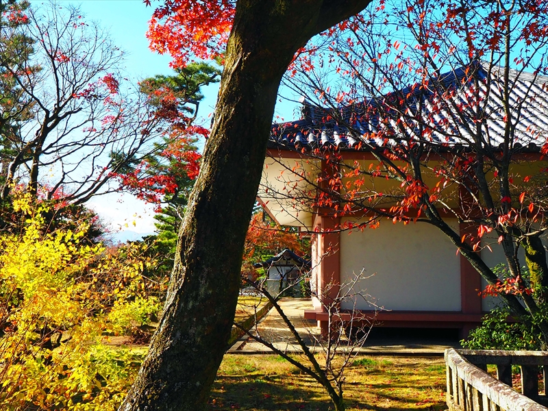 1010_洛中 智積院_京都