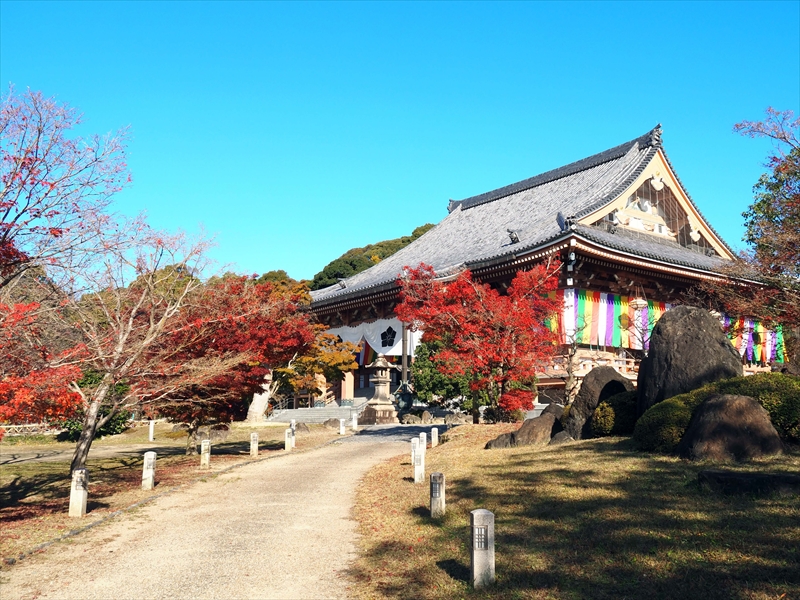 1017_洛中 智積院_京都