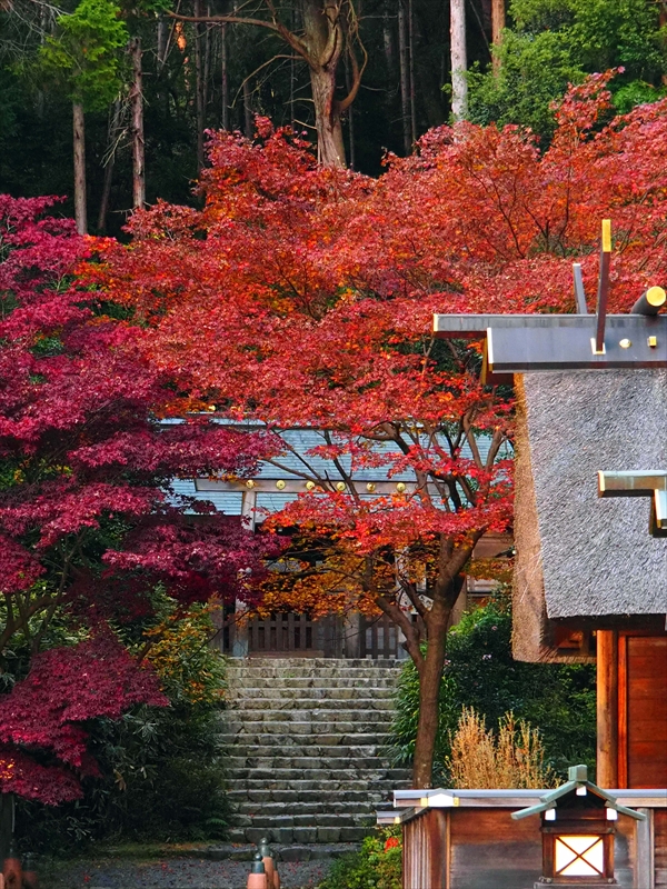 1131_洛東 泉涌寺_京都