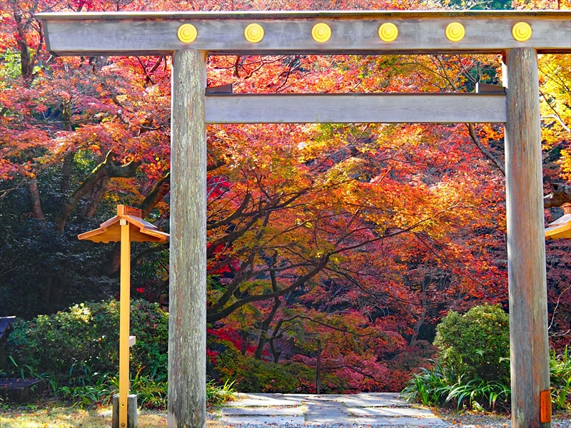 1072_洛東 大神宮_京都
