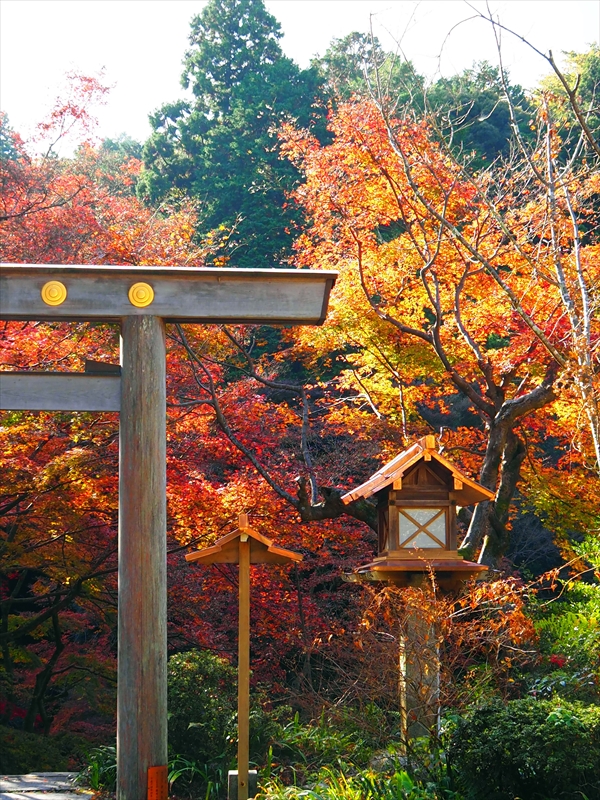 1073_洛東 大神宮_京都