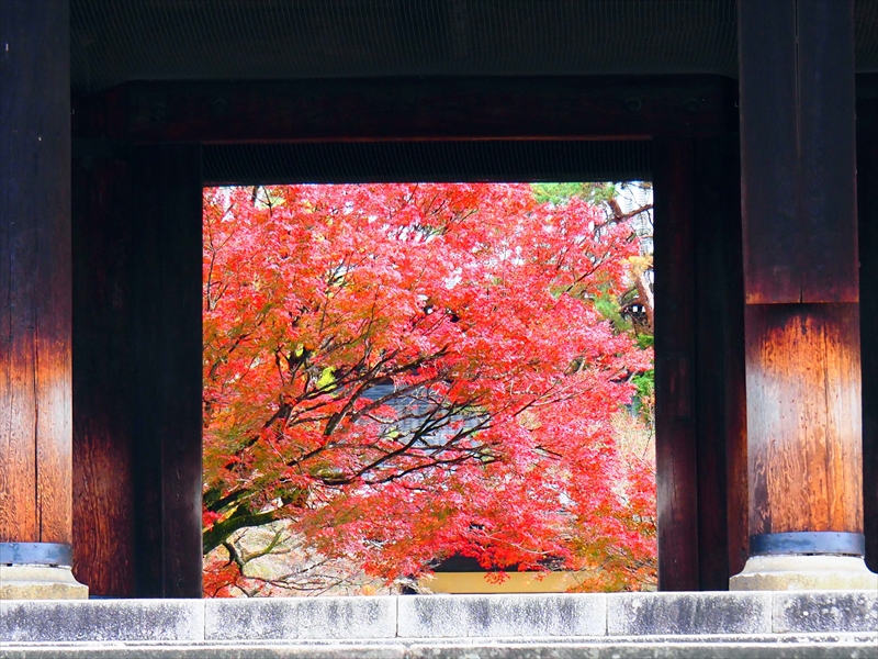 1049_洛東 南禅寺_京都