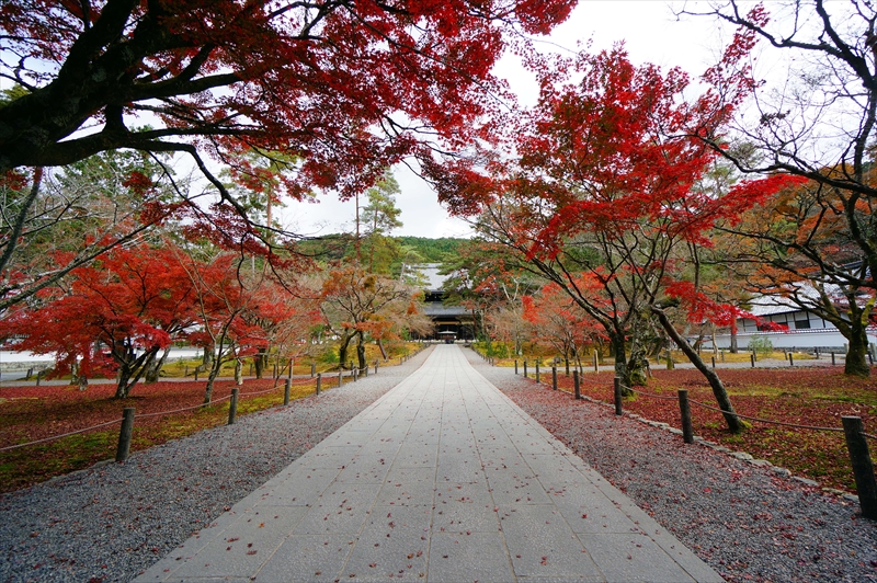 1051_洛東 南禅寺_京都