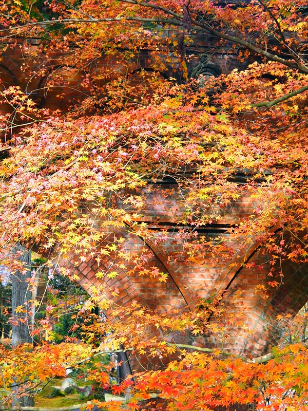 1053_洛東 南禅寺_京都