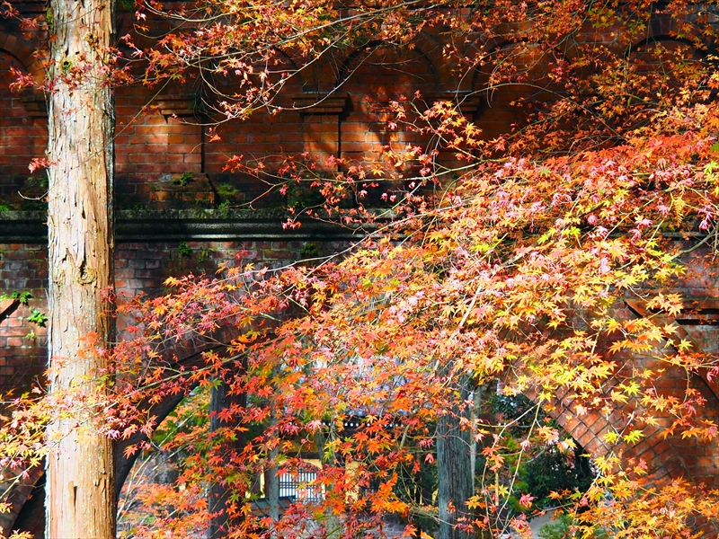 1054_洛東 南禅寺_京都