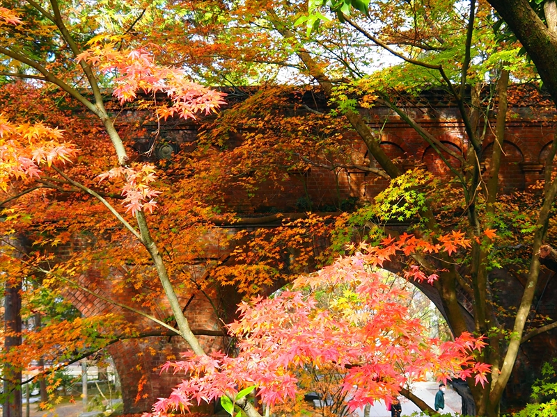 1055_洛東 南禅寺_京都