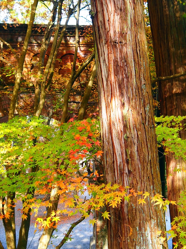 1056_洛東 南禅寺_京都