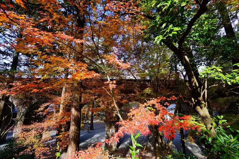 1057_洛東 南禅寺_京都