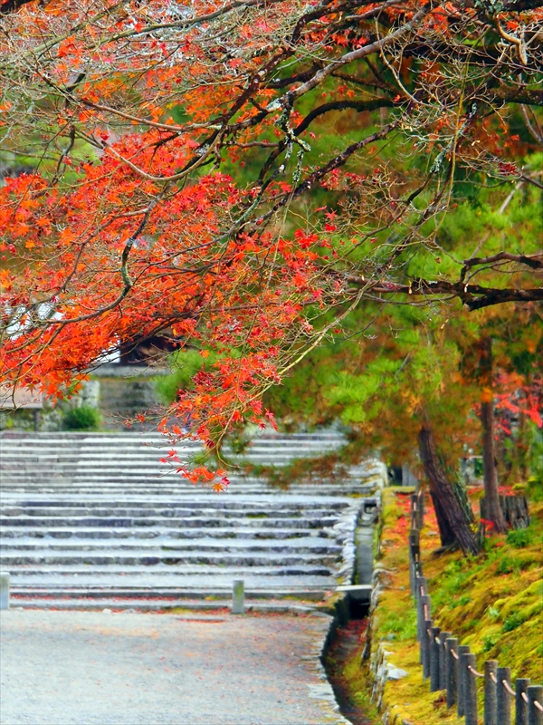 1059_洛東 南禅寺_京都