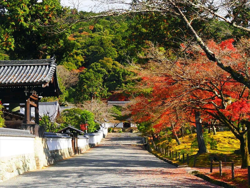 1060_洛東 南禅寺_京都