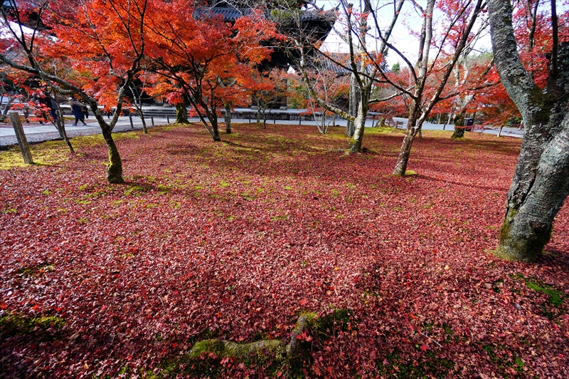 1061_洛東 南禅寺_京都