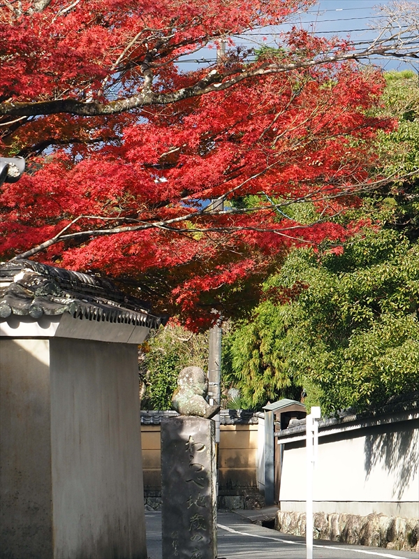 1062_洛東 南禅寺_京都