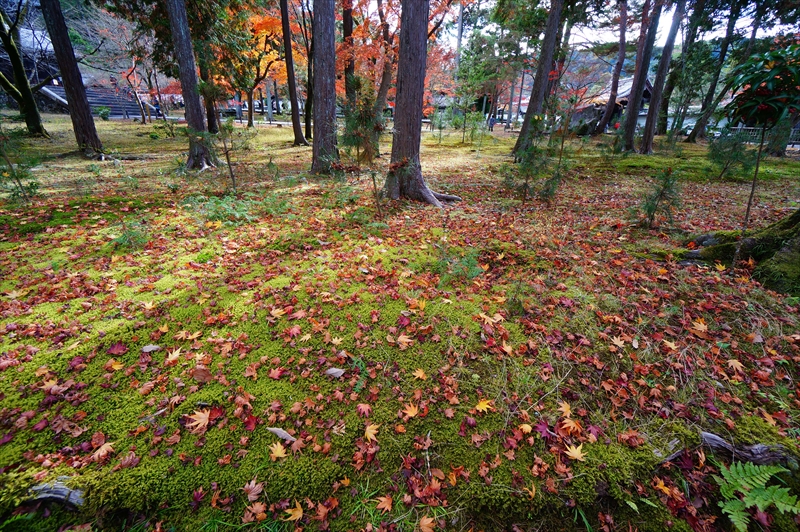 1063_洛東 南禅寺_京都