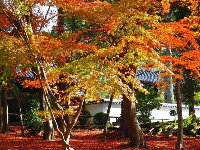 1065_洛東 南禅寺_京都