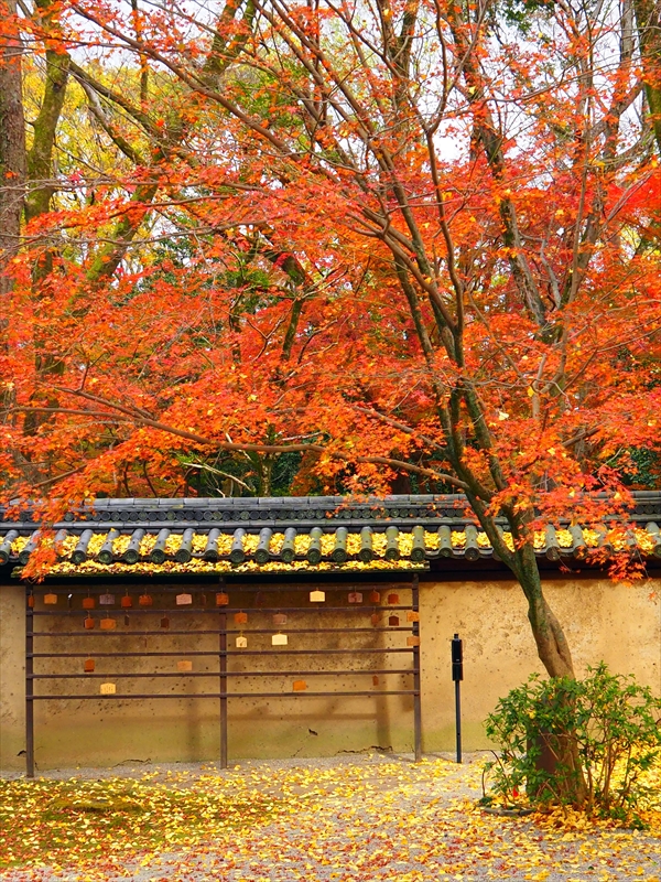 1032_洛中 河合神社_京都