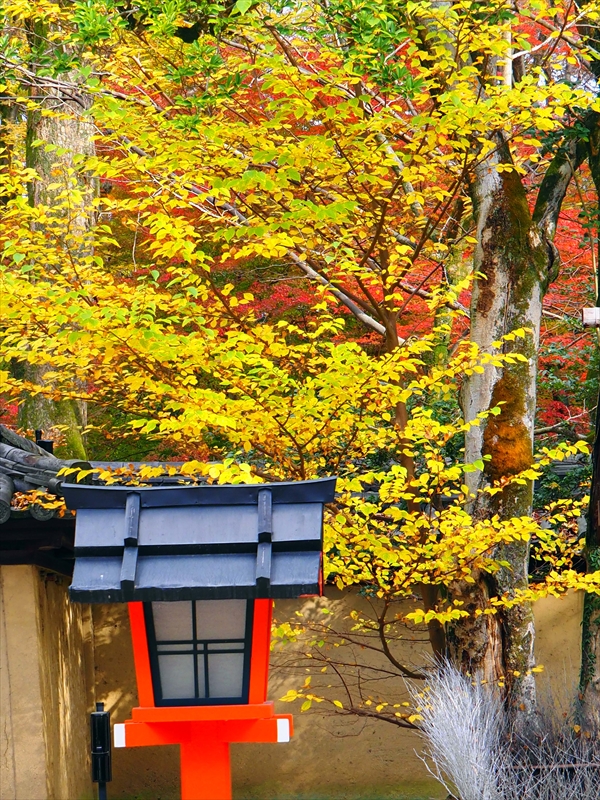 1033_洛中 河合神社_京都