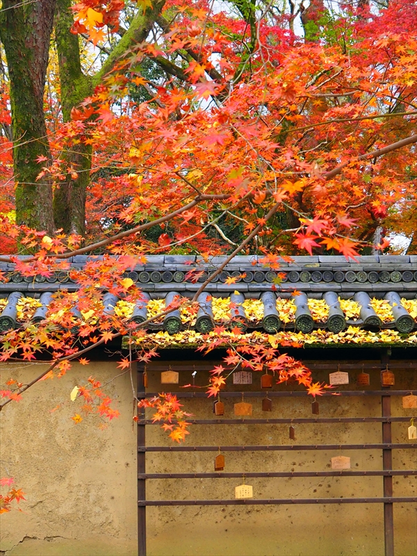 1035_洛中 河合神社_京都