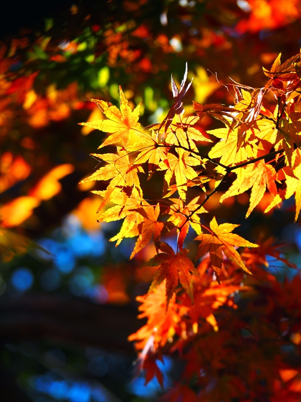 1164__横浜市新羽町_神奈川