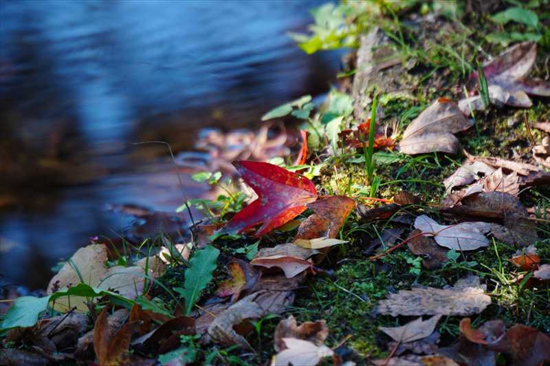 1058_游愁の美_日本