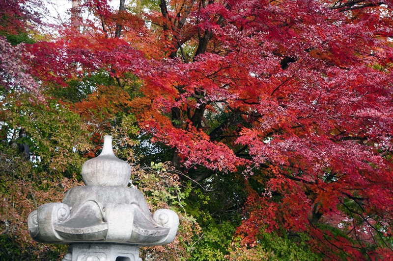 1001_永源寺_茨城