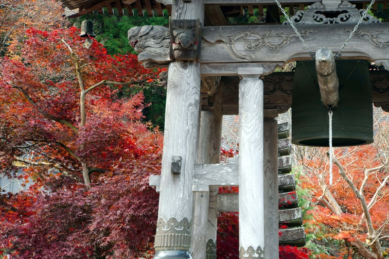 1009_永源寺_茨城