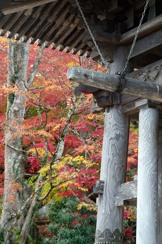 1011_永源寺_茨城