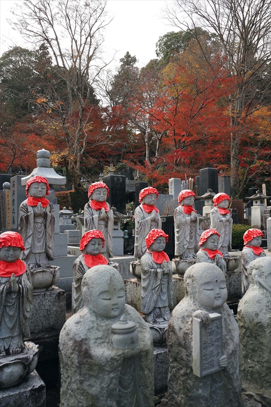1014_永源寺_茨城