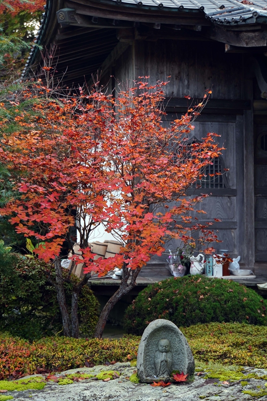 1015_永源寺_茨城