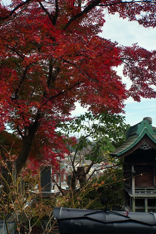 1017_永源寺_茨城