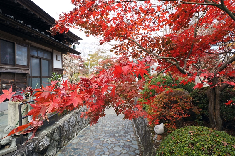 1018_永源寺_茨城
