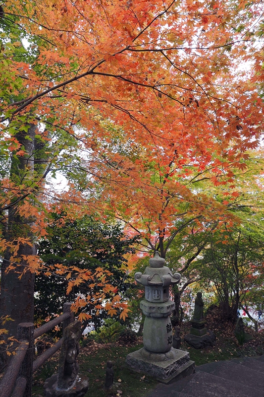 1022_永源寺_茨城