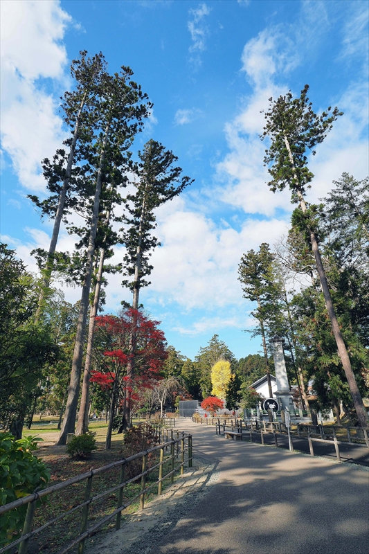 1057_瑞巌寺_宮城