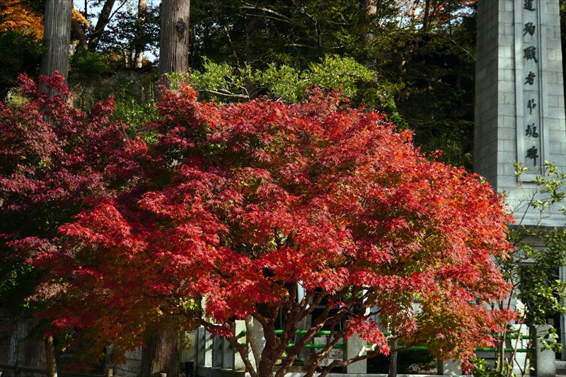 1058_瑞巌寺_宮城