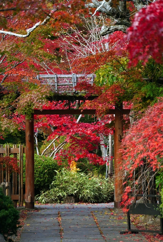 1015_円通院_宮城