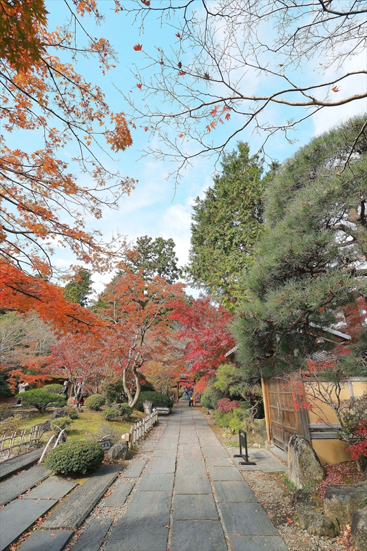 1018_円通院_宮城