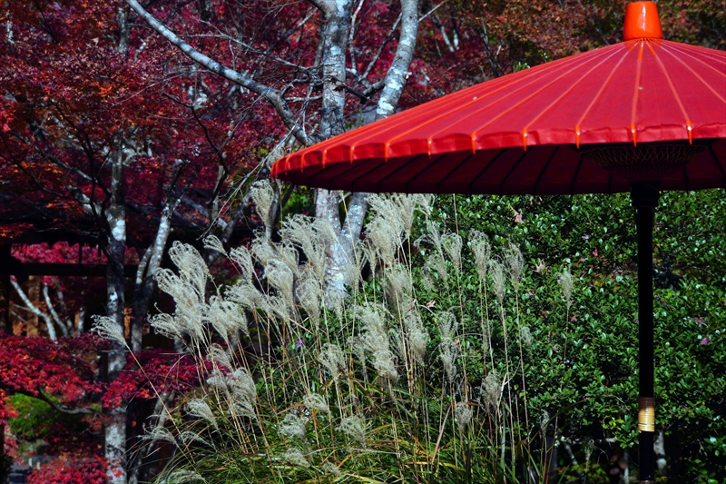 1022_円通院_宮城