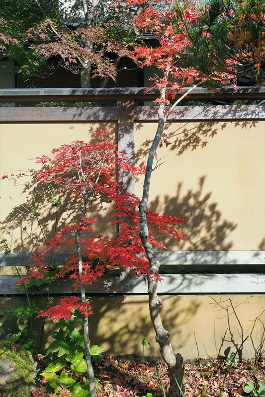 1026_円通院_宮城