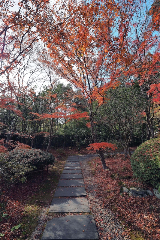 1032_円通院_宮城