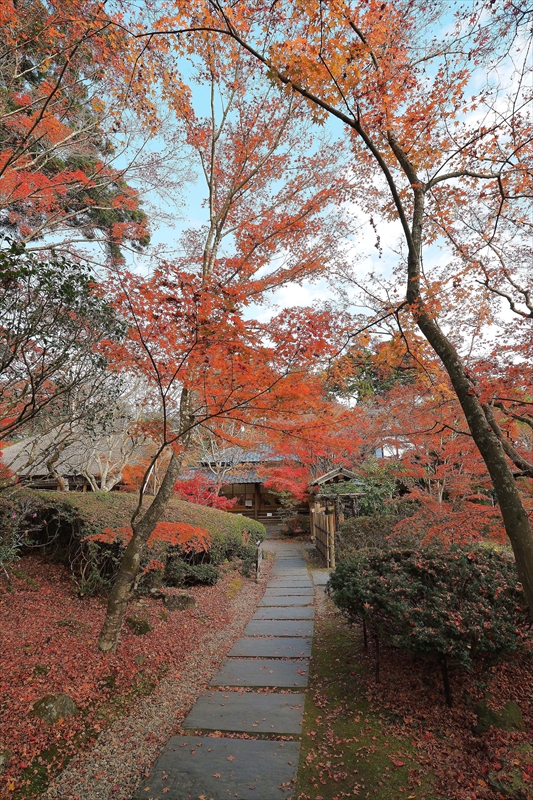 1034_円通院_宮城