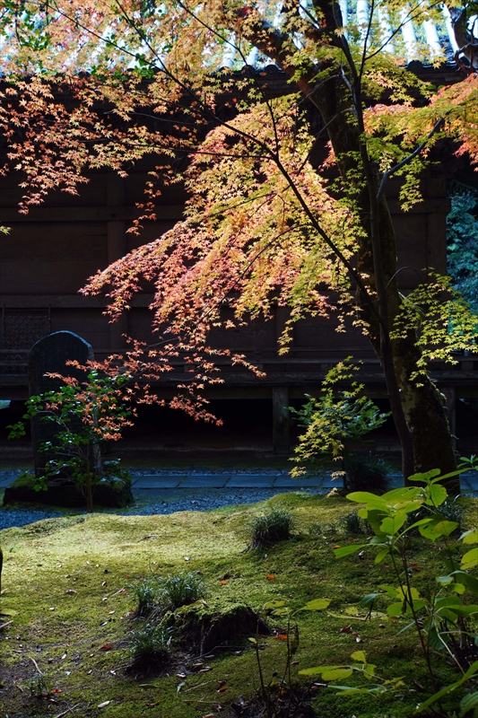 1041_円通院_宮城