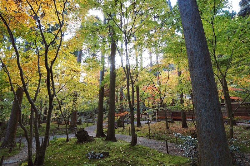 1042_円通院_宮城