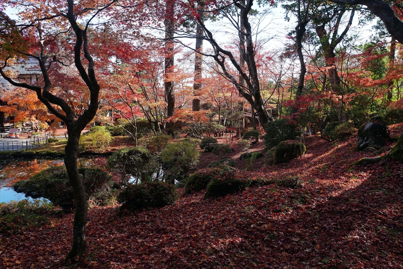 1043_円通院_宮城