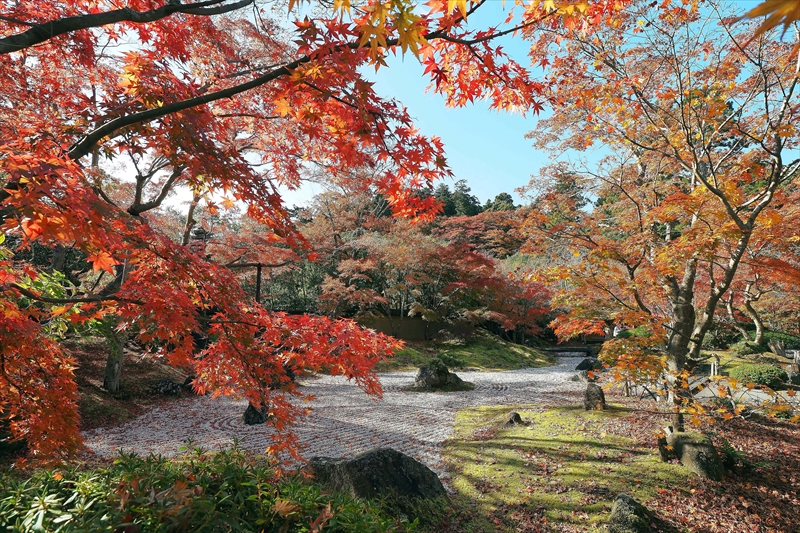 1047_円通院_宮城