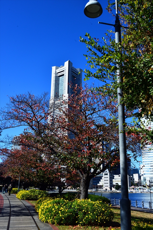 1023_汽車道_神奈川