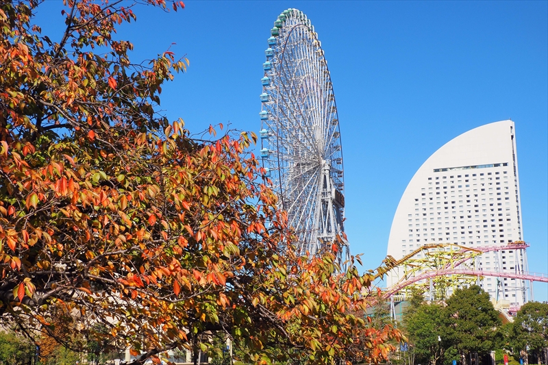 1026_汽車道_神奈川